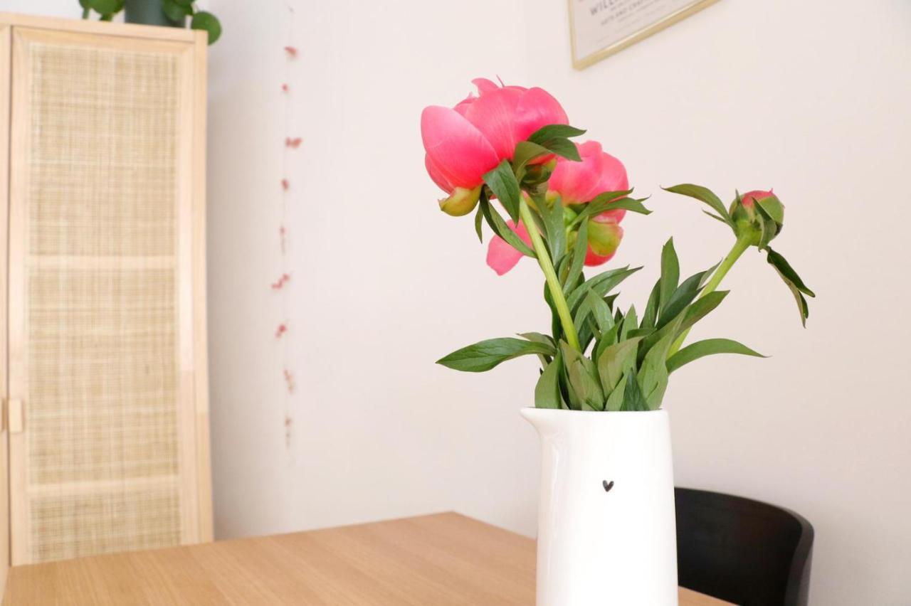 Appartement Cosy 40M2 Centre-Ville Historique Vannes Luaran gambar
